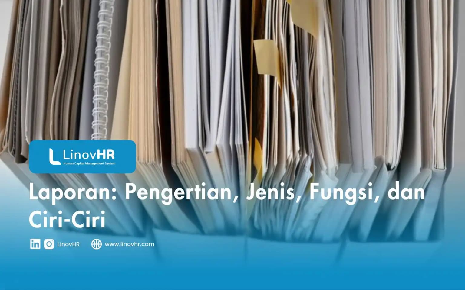Laporan: Pengertian, Jenis, Fungsi, dan Ciri-Ciri