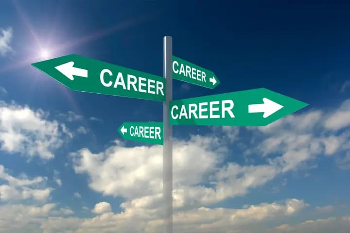 Seluk-Beluk Switch Career Beserta Tipsnya