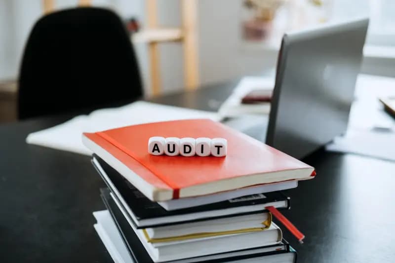 Auditor: Tugas, Syarat, Gaji dan Tanggung Jawab