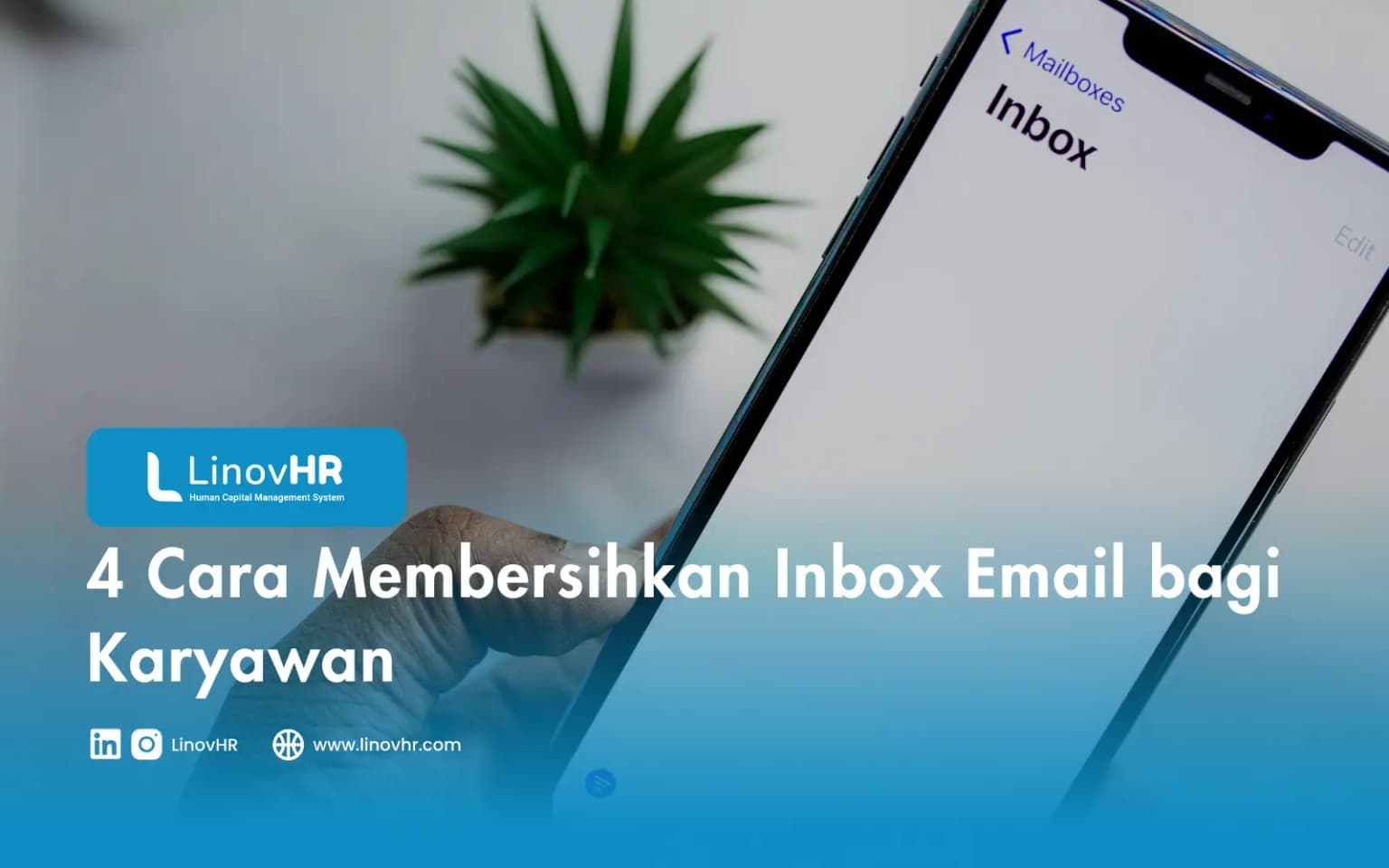 4 Cara Membersihkan Inbox Email bagi Karyawan