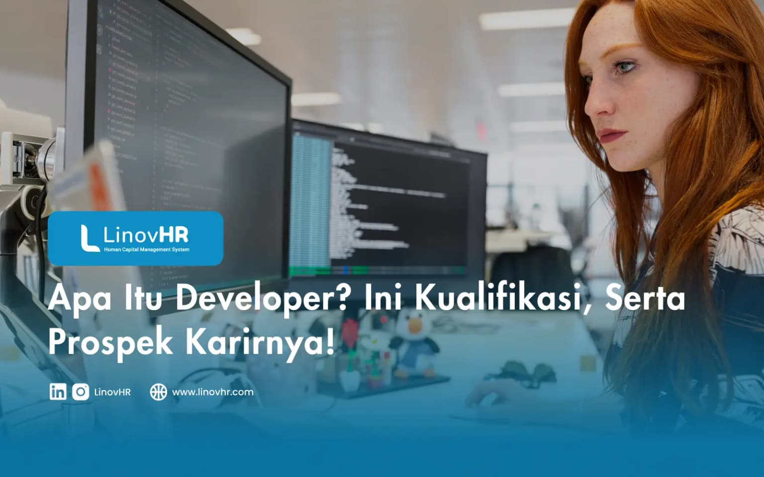 Apa Itu Developer? Ini Kualifikasi, Serta Prospek Karirnya!