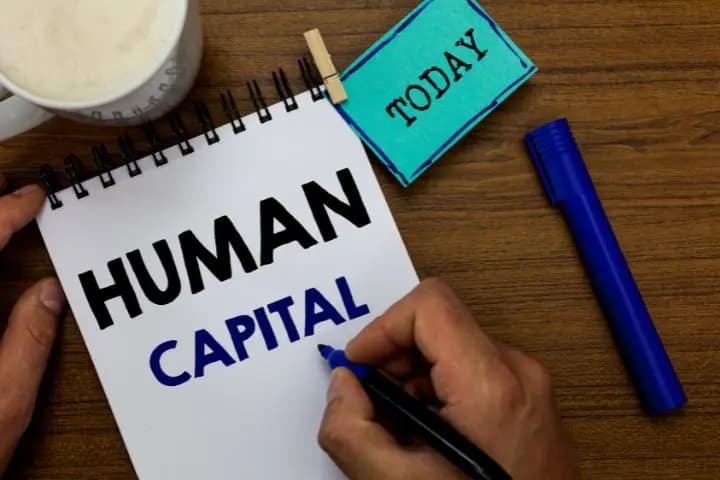 Human Capital Adalah? Pengertian, Tugas, dan Bedanya dengan Human Resource