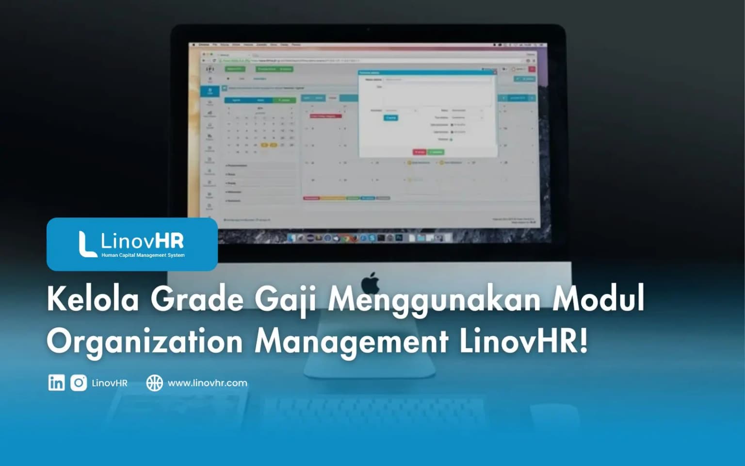 Kelola Grade Gaji Menggunakan Modul Organization Management LinovHR!
