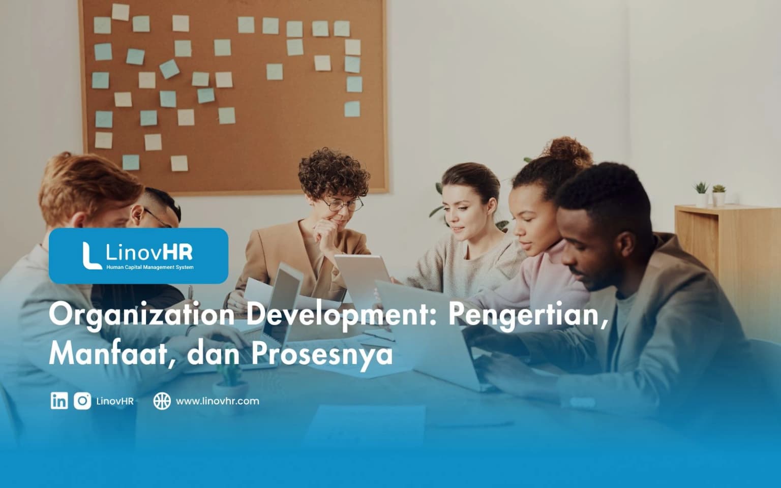 Organization Development: Pengertian, Manfaat, dan Prosesnya