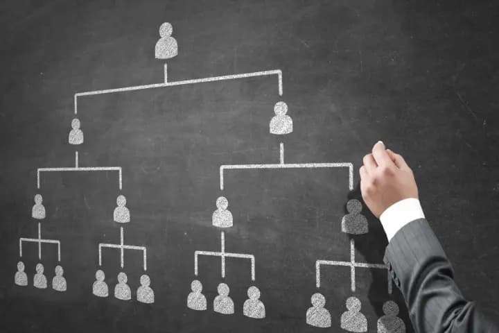 5 Cara Membuat Struktur Organisasi dengan Mudah