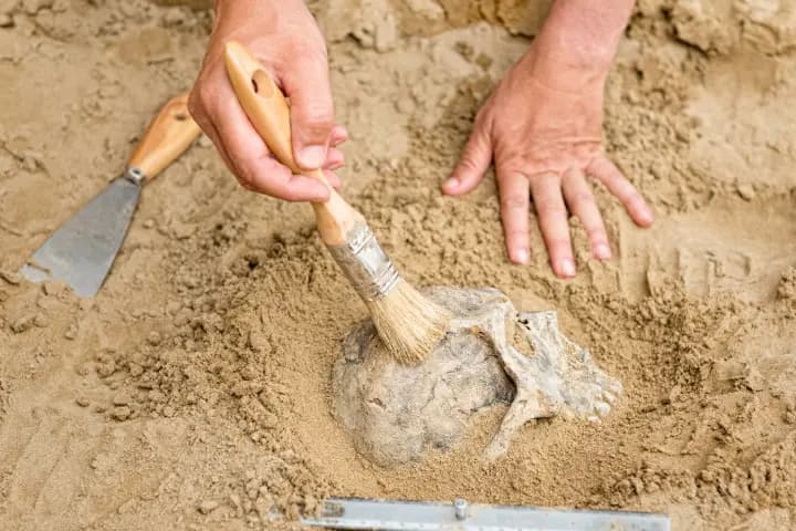 Mengenal Jurusan Antropologi dan Prospek Karirnya