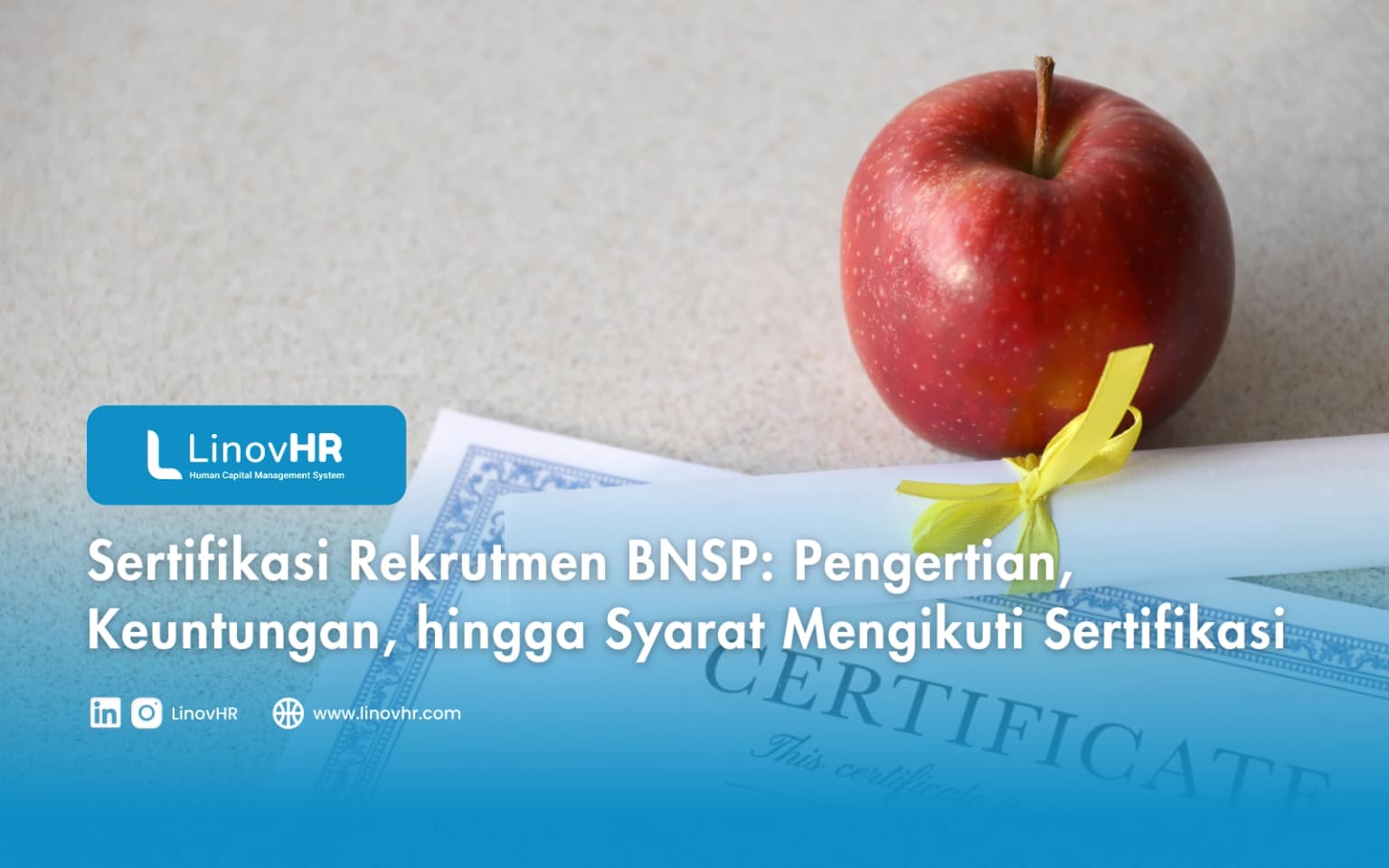 Sertifikasi Rekrutmen BNSP: Pengertian, Keuntungan, hingga Syarat Mengikuti Sertifikasi