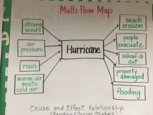 Multi Flow Map