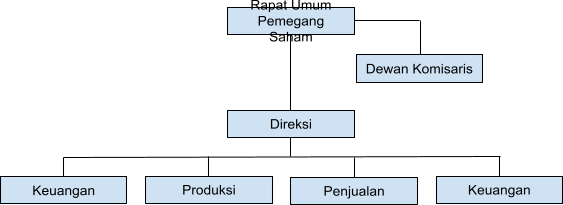 contoh struktur organisasi divisional
