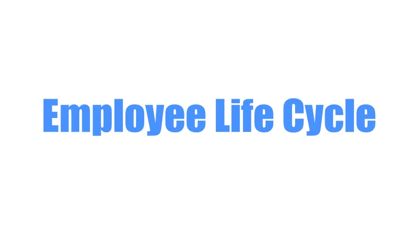 Apa Itu Employee Life Cycle?