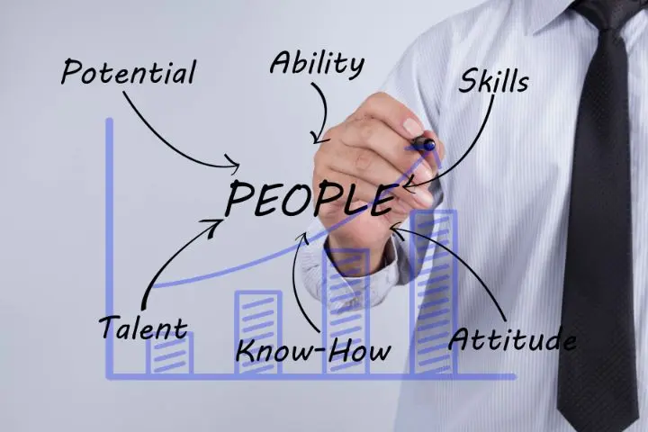 Apa Itu Talent Management Tools dan Bagaimana Memilihnya?
