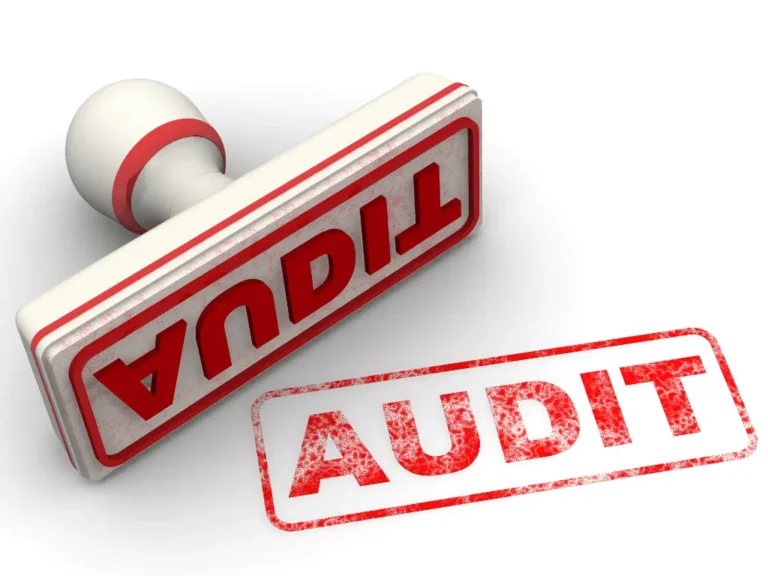 Pelajari audit SDM mulai dari pengertian, manfaat, jenis audit, hingga prosedur lengkapnya. Optimalkan kinerja HR secara strategis dan legal!