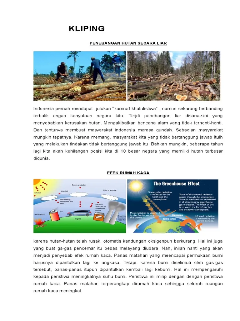 Contoh Kliping tentang Lingkungan