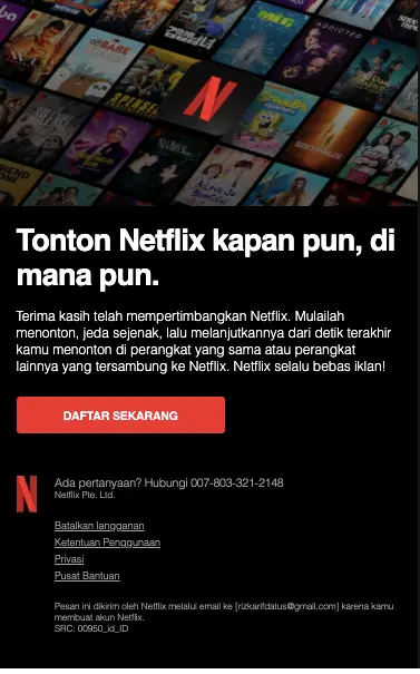 Contoh Newsletter Netflix