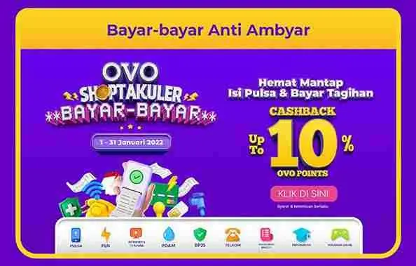 Contoh Newsletter Ovo