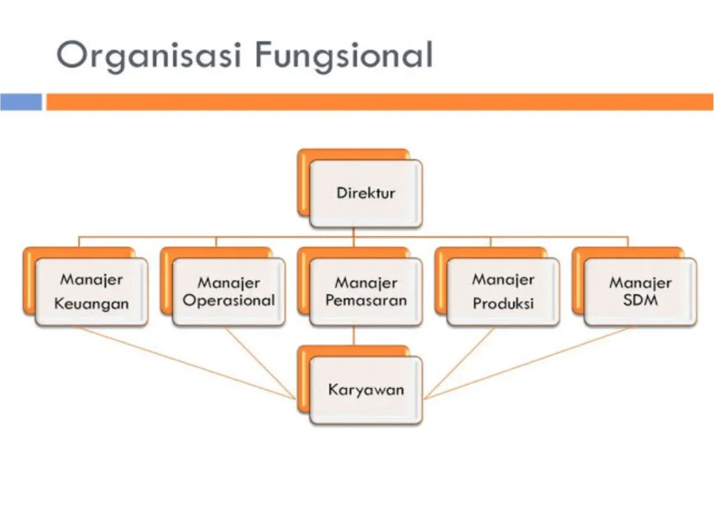 Contoh Struktur Organisasi Fungsional