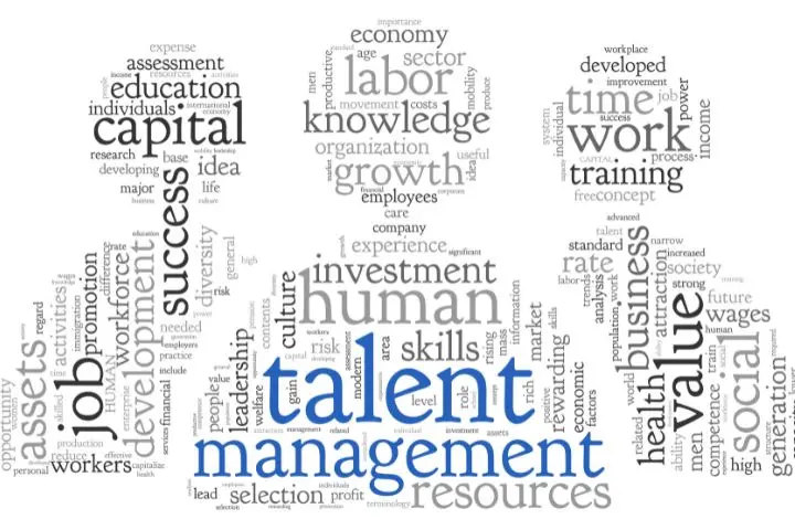 Integrated Talent Management: Pengertian, Manfaat, hingga Prosesnya
