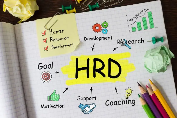 Jabatan dalam Divisi HRD, Apa Saja?