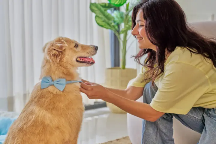 Mengulas Pawternity Leave, Cuti untuk Karyawan yang Punya Hewan Peliharaan