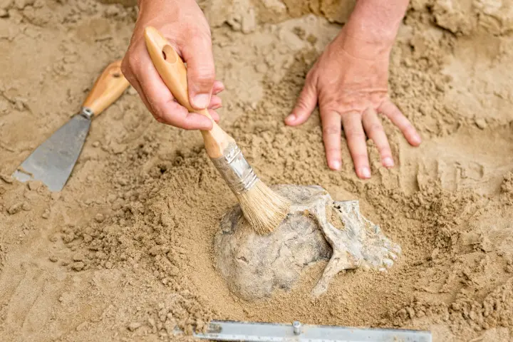 Jurusan Antropologi