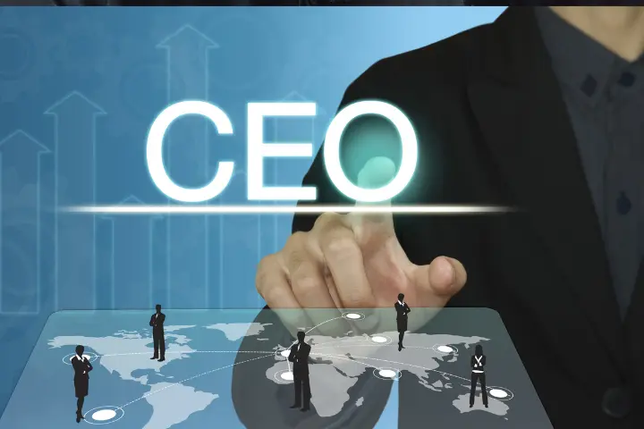 CEO LinkedIn