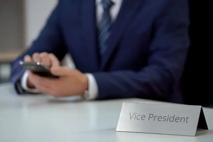 Siapa Itu VP (Vice President) dan Apa Tugasnya?