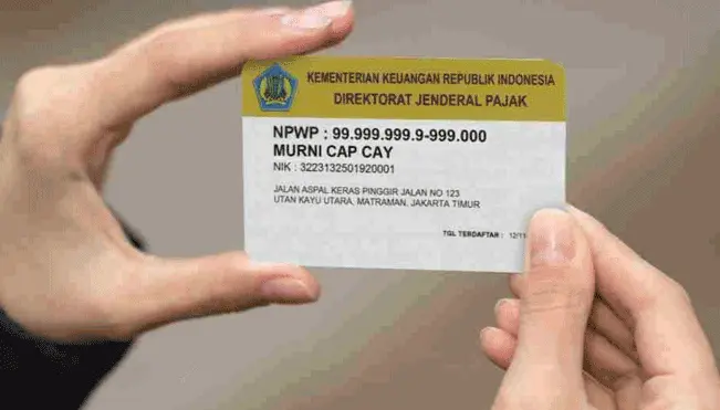 Cara Daftar NPWP Online Lewat Ereg Pajak.go.id Terbaru 2024