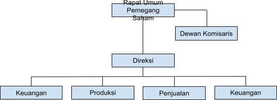 contoh-struktur-organisasi-divisional