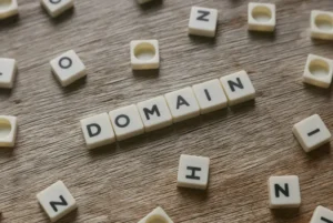 domain adalah